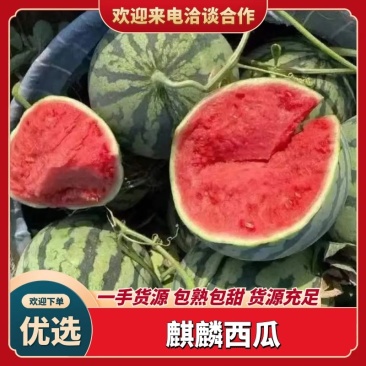 【精品】美都、麒麟大棚西瓜，产地直发，欢迎联系选购！
