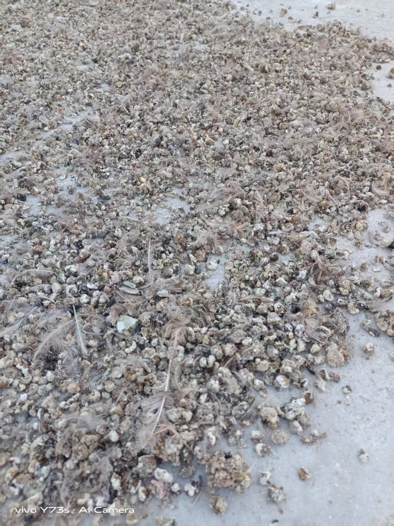 河南颗粒肥料鹌鹑粪有机肥料粪便助力农作物生长
