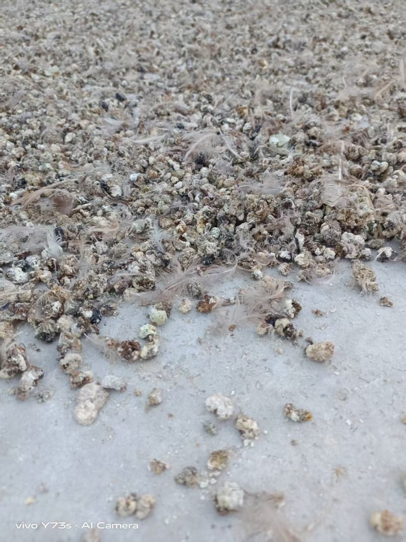 河南颗粒肥料鹌鹑粪有机肥料粪便助力农作物生长