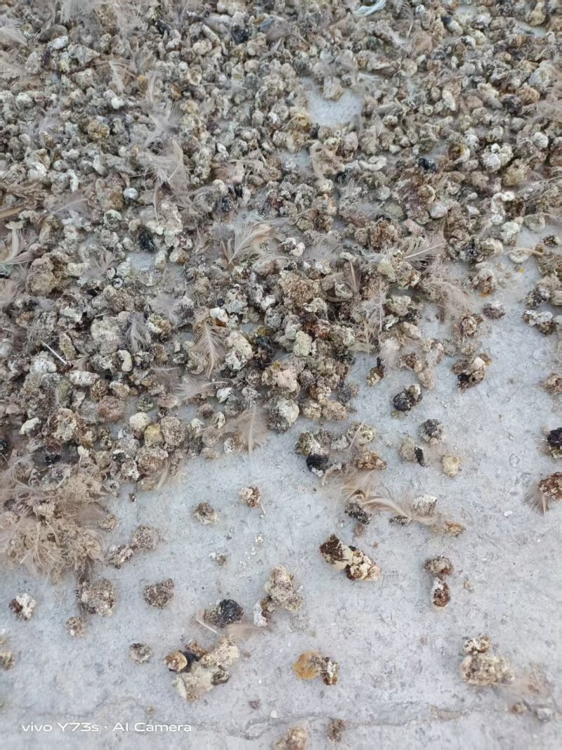 河南颗粒肥料鹌鹑粪有机肥料粪便助力农作物生长