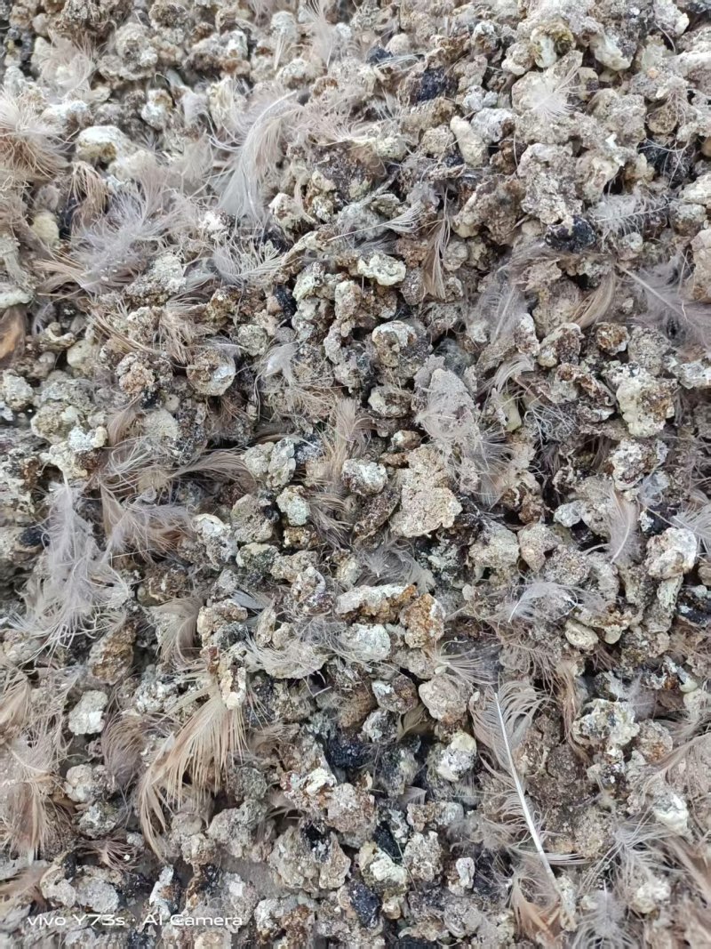 河南颗粒肥料鹌鹑粪有机肥料粪便助力农作物生长