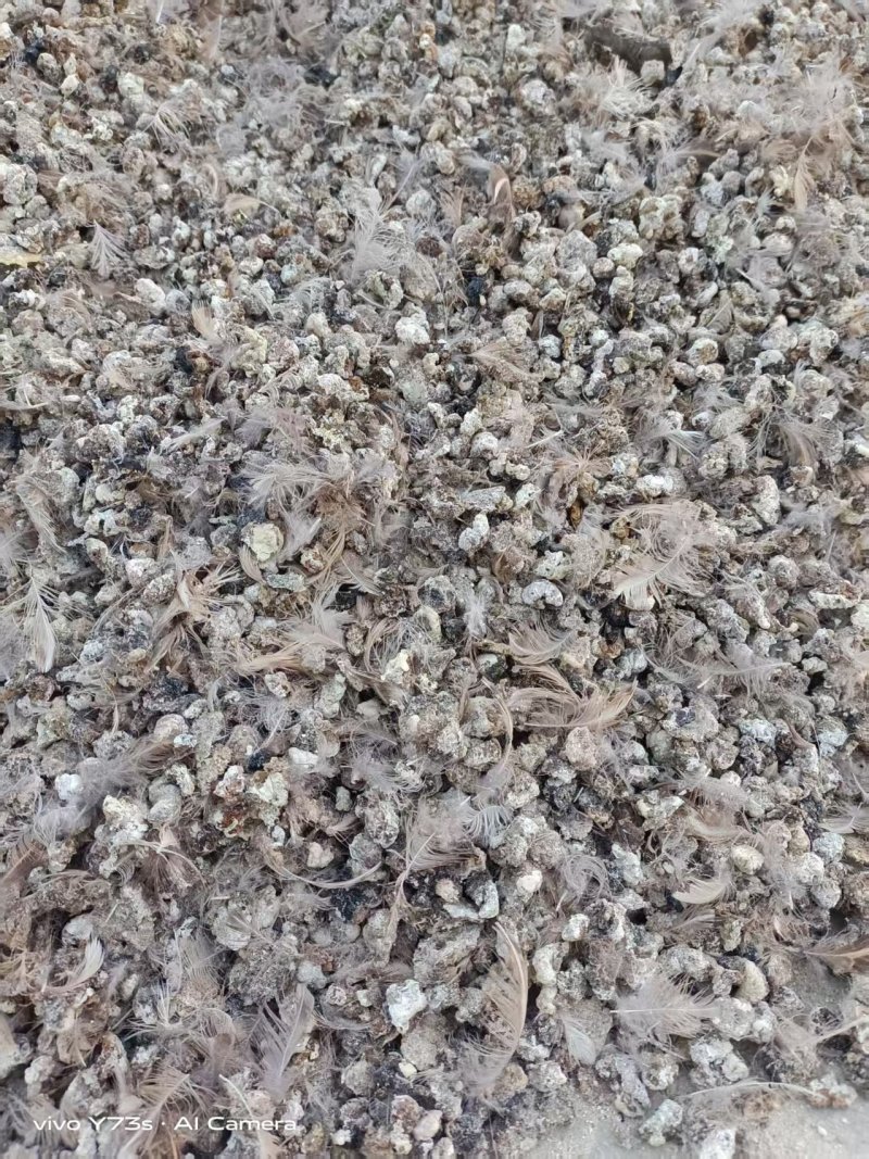河南颗粒肥料鹌鹑粪有机肥料粪便助力农作物生长