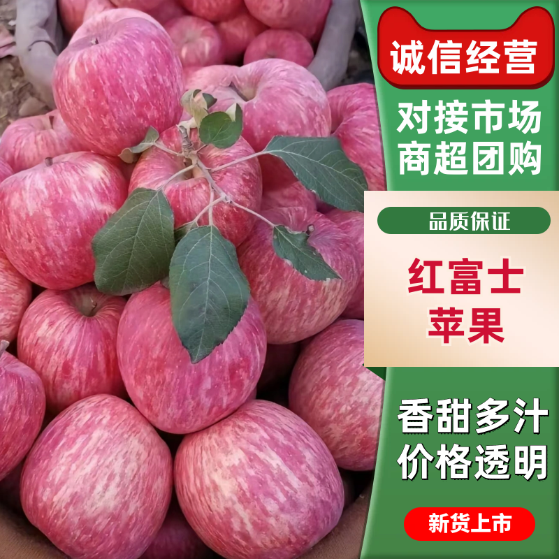 精品-红富士苹果产地直发对接市场商超等货源稳定品质保证