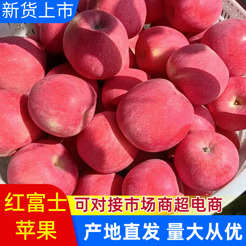 【9年老店】原产地直供-红富士-苹果一手货源可全国发货