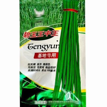 豇豆种子碧玉王中王嫩绿条长豇豆种子150g中早熟亮绿长条
