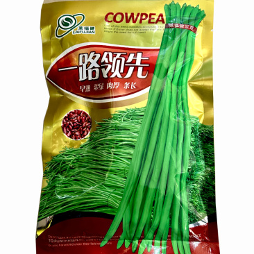 一路领先长豆角种子早熟翠绿肉厚条长200g大田基地
