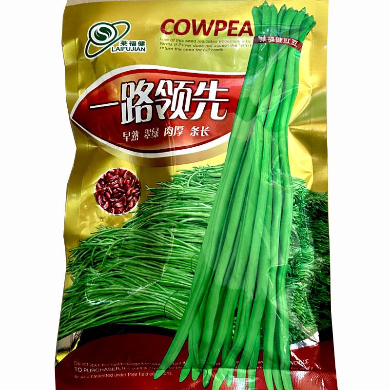 一路领先长豆角种子早熟翠绿肉厚条长200g大田基地