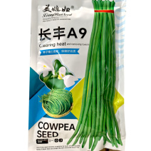 长丰A9肉厚耐老化易结荚粗细均匀顺直翠绿长豆角