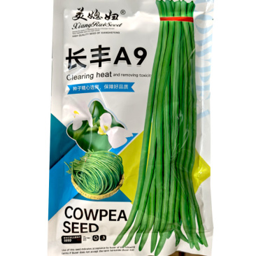 长丰A9肉厚耐老化易结荚粗细均匀顺直翠绿长豆角