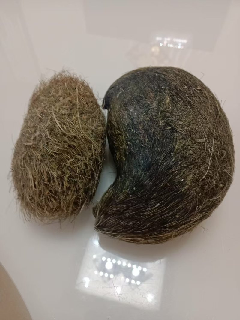 猪宝猪辰砂中药材有需求的客商欢迎来电咨询