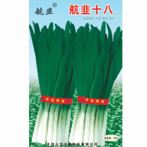 韭菜种子航韭十八宽叶韭菜夏季耐热耐高湿高温高抗病