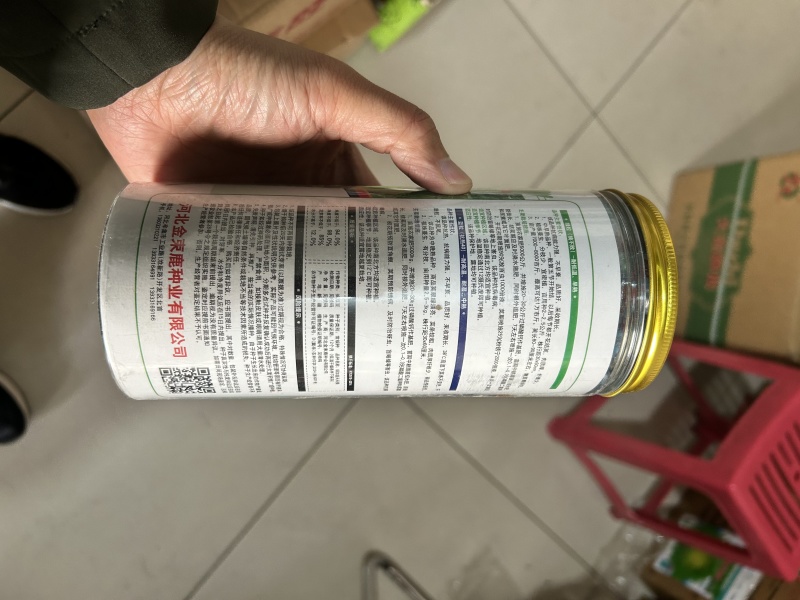 绿长豆角种子绿加蓝天天早熟嫩荚青摘耐高温肉厚纤维少