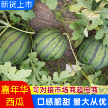 【嘉年华西瓜】嘉年华西瓜薄皮汁多商超基地发可视频看货