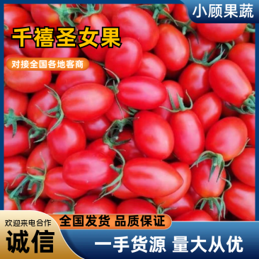辽宁小番茄千玺圣女果，红果黄果品类齐全，价格实惠