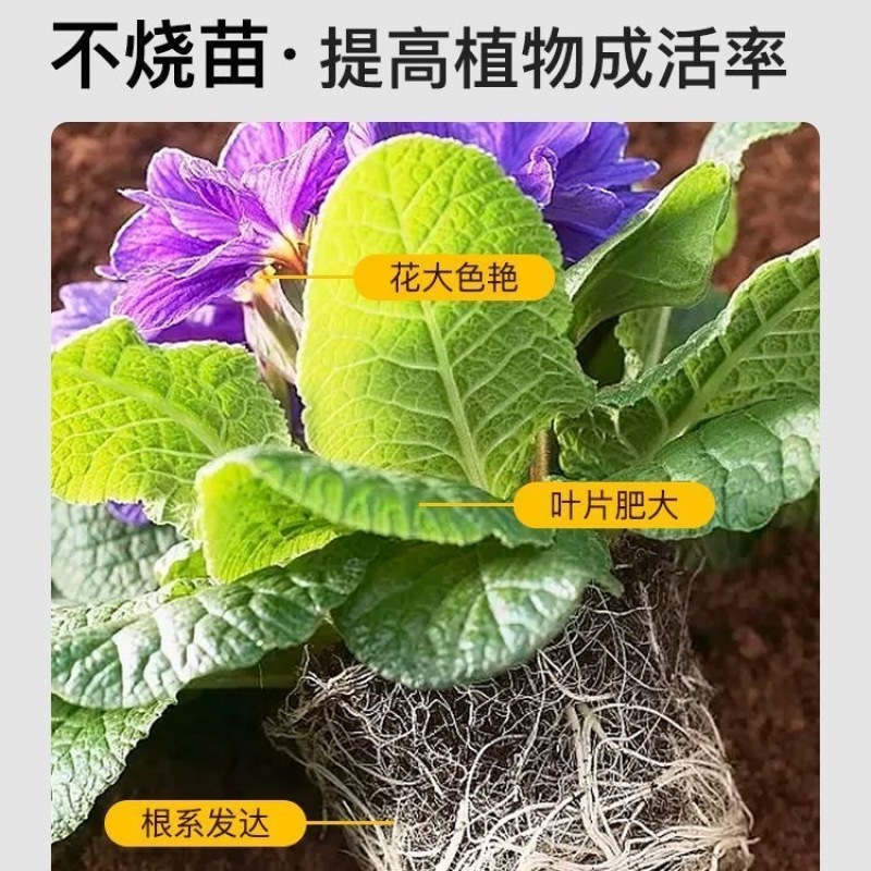 《强烈推荐》散装营养土大量供货一手货源欢迎致电