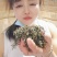 浙江龙井茶高山茶口感醇甘甜茶香浓郁常年批发供应