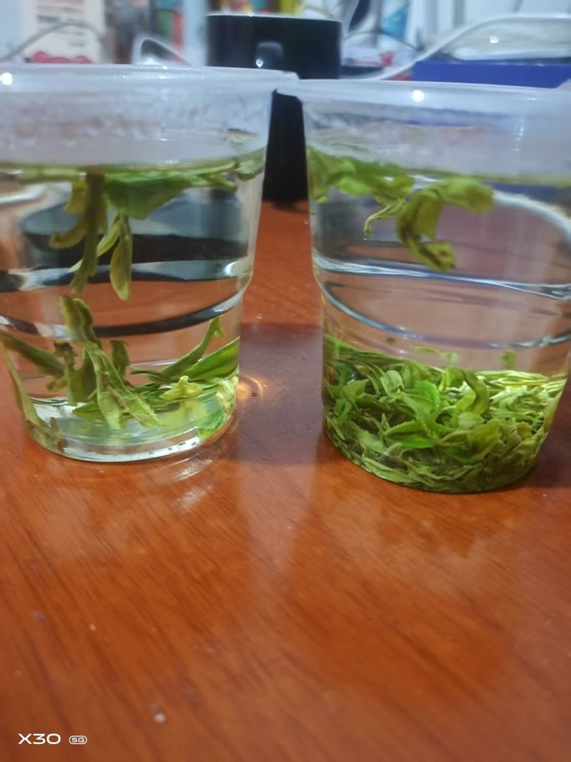 浙江龙井茶高山茶口感醇甘甜茶香浓郁常年批发供应