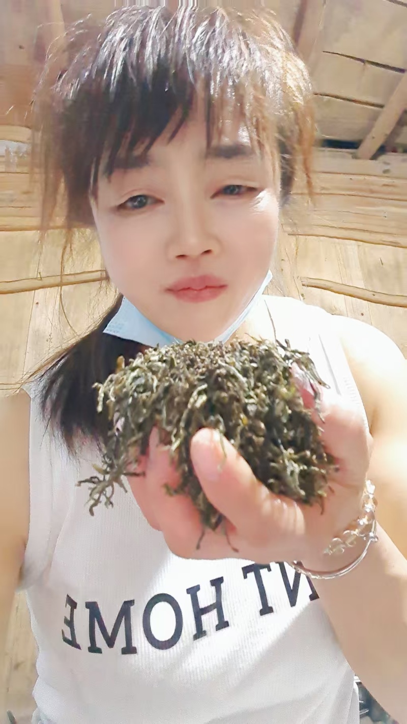 绿茶浙江高山绿茶大量上市口感醇甘甜茶香浓郁保质量