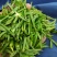 绿茶浙江高山绿茶大量上市口感醇甘甜茶香浓郁保质量