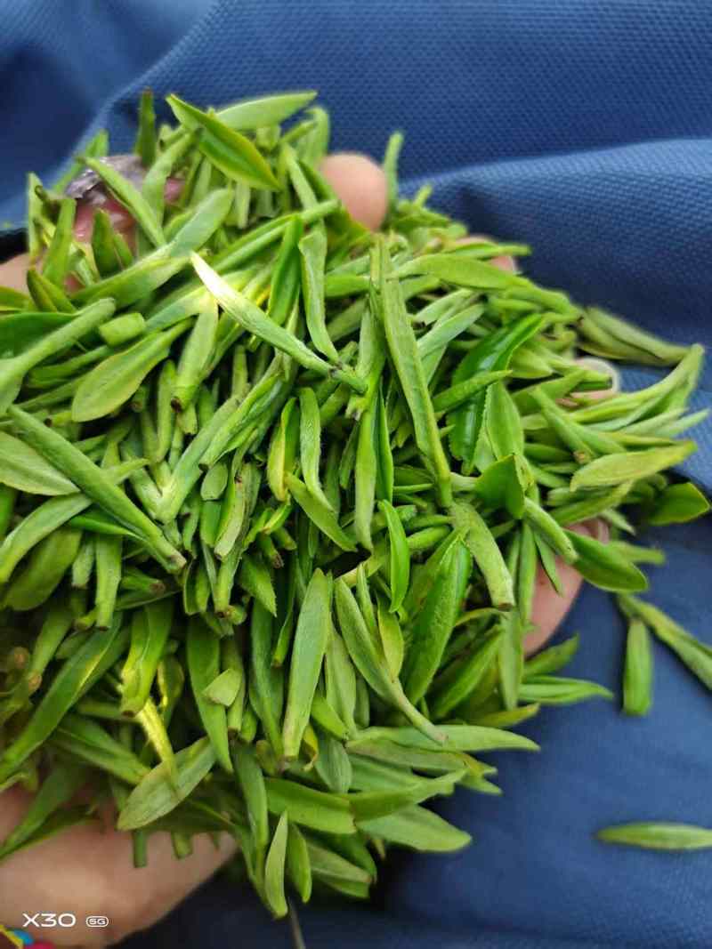 绿茶浙江高山绿茶大量上市口感醇甘甜茶香浓郁保质量