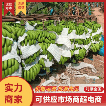 精品香蕉，规格齐全，全年供应，价格便宜，全国发货
