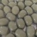 《烧烤实蛋》常年供应大量现货全国发货对接电商批发