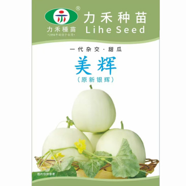 美辉甜瓜种子原新银辉白皮白绿肉甜度高香味浓香香瓜种子
