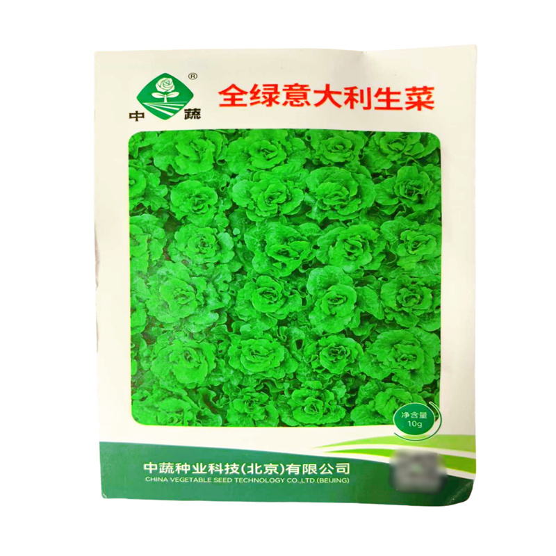 全绿意大利生菜种子中蔬深绿色油亮口感爽脆10克