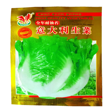 意大利生菜种子抗热全年耐抽苔高产特耐寒豫丰甜脆