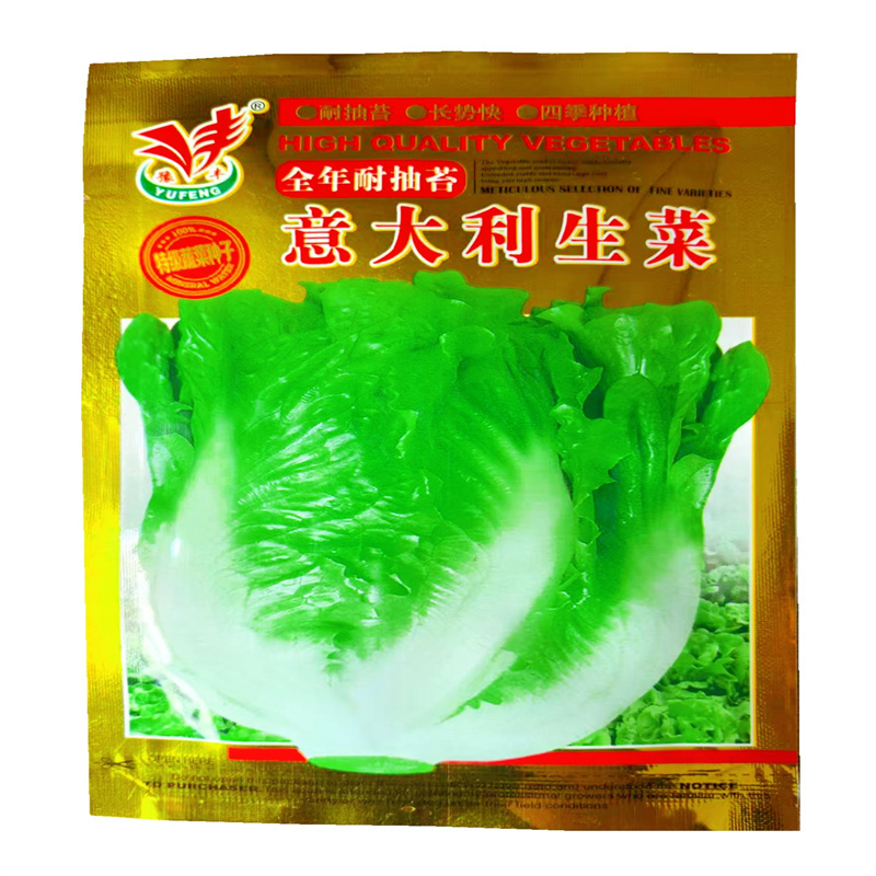 意大利生菜种子抗热全年耐抽苔高产特耐寒豫丰甜脆