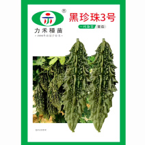 黑珍珠3号苦瓜种子早中熟抗病高产瓜皮浓绿色农家春秋两季播