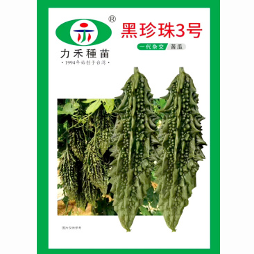 黑珍珠3号苦瓜种子早中熟抗病高产瓜皮浓绿色农家春秋两季播