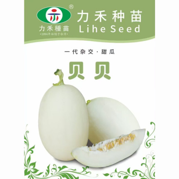 贝贝香瓜种籽乳白皮白肉甜瓜种子一代杂交甜脆春秋季甜瓜种孑