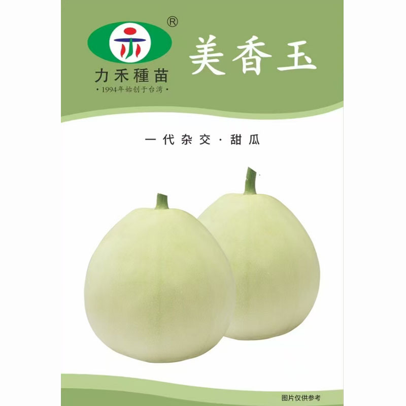美香玉甜瓜种子台湾美浓甜瓜改良品种子大果薄皮香甜味浓
