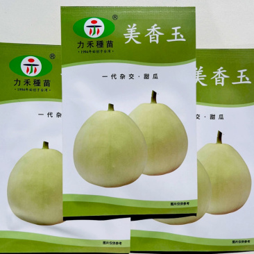 美香玉甜瓜种子台湾美浓甜瓜改良品种子大果薄皮香甜味浓
