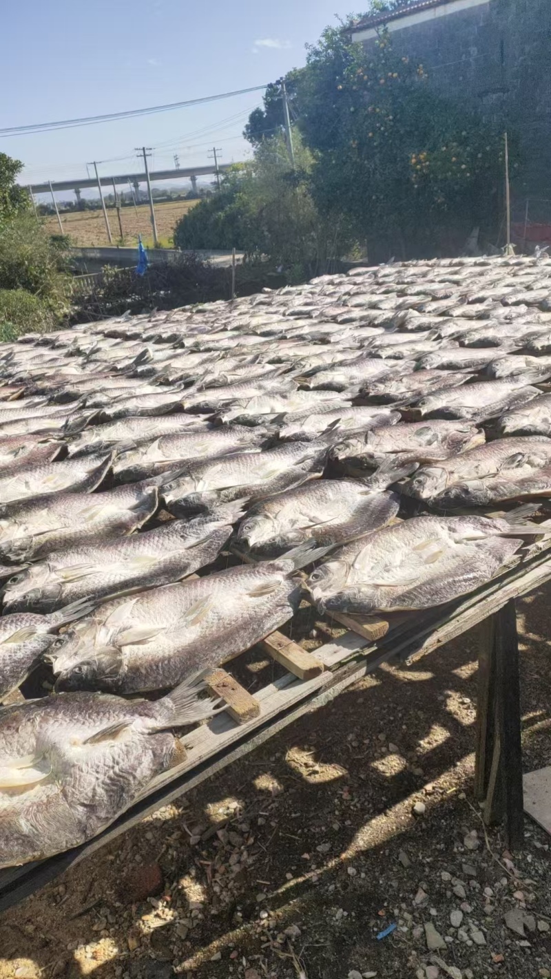 江西特产鱼干大量供应保证质量价格便宜欢迎电话联系