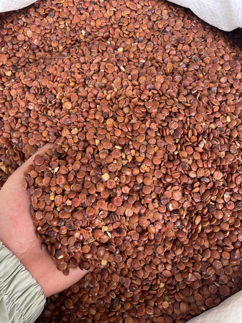 枣仁酸枣仁新货大量现货可零售批发品质保证