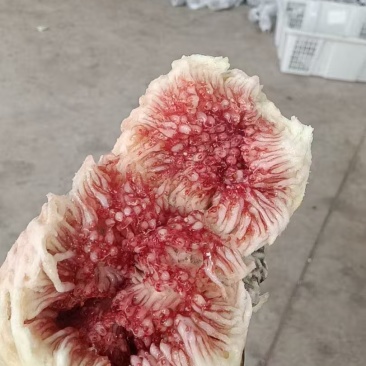 精品无花果，产地直发，价格优惠，诚信经营，品质保证