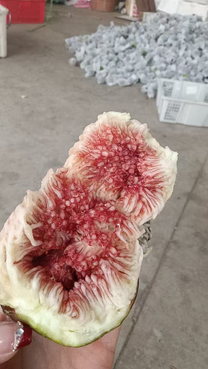 精品无花果，产地直发，价格优惠，诚信经营，品质保证