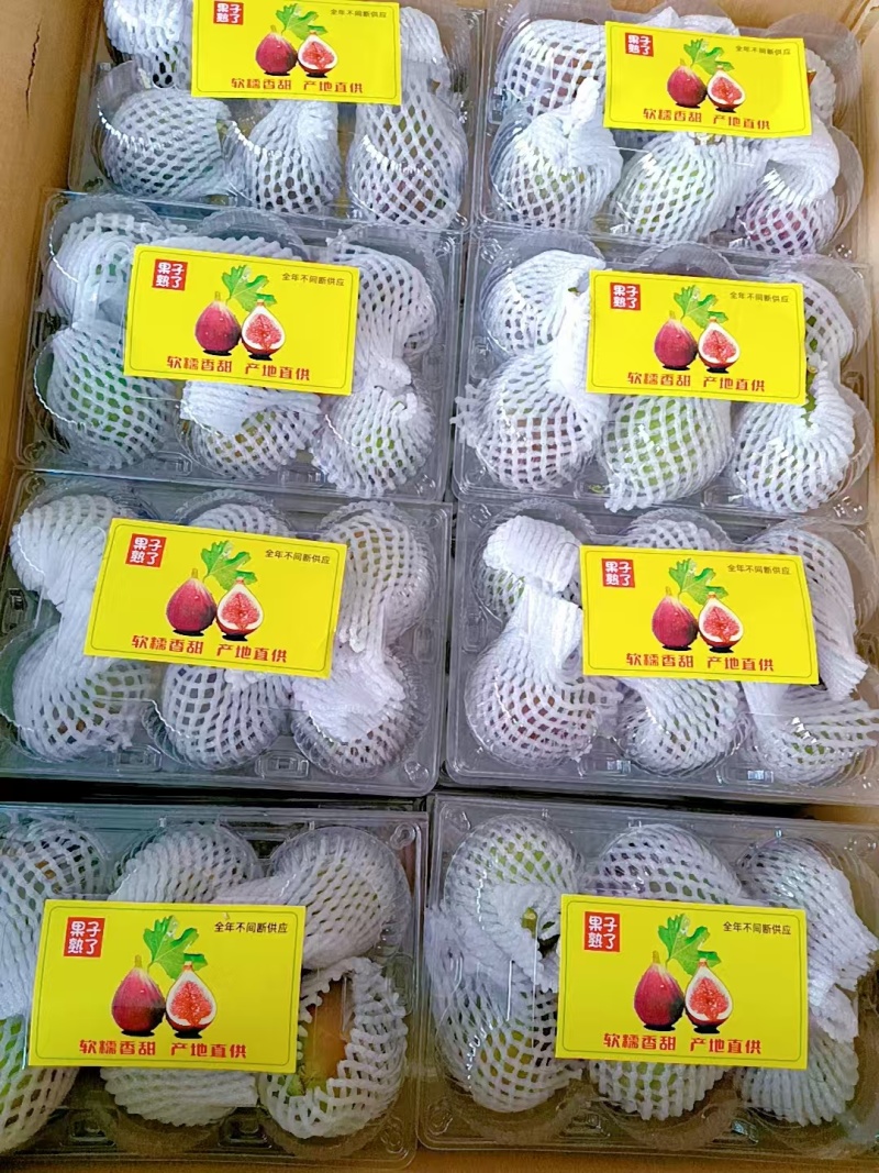 精品无花果，产地直发，价格优惠，诚信经营，品质保证