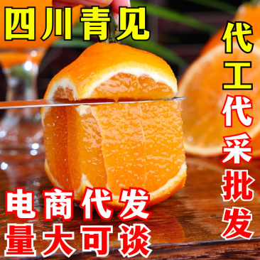 四川青见果冻橙一件代发青见柑桔新鲜水果『电商代发』