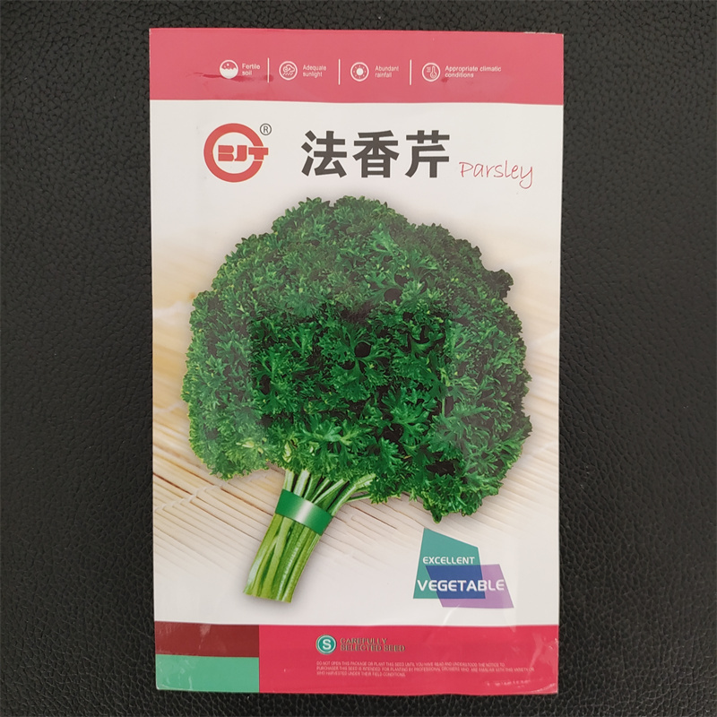 摩西香芹种子意大利欧芹种子法香种子洋香菜高产发芽高