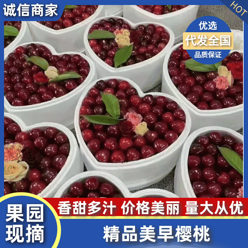 美早大樱桃大量上市，质优价廉，代收代发欢迎咨询