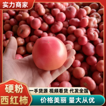 质量非常好，需要货源的老板，市场商超都可接