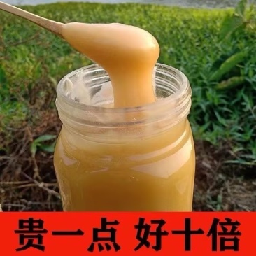 桂林土蜂蜜欢迎致电欢迎咨询有检测报告可批发零售