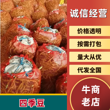 四季豆产地直发服务周到品质保证价格美丽