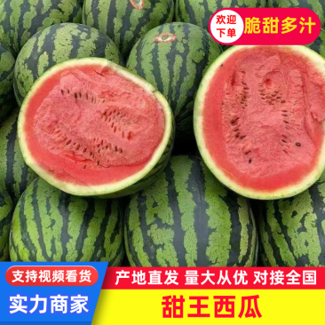 云南甜王西瓜精品西瓜现摘现发商超品质规格齐全欢迎咨询