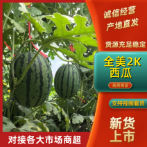 赤峰全美2k西瓜内蒙西瓜手掰瓜包熟包甜口感好耐裂糖度高