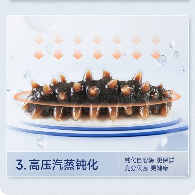 大连海参厂家鲜炖海参开盖即食高汤炖煮高端送礼滋补品