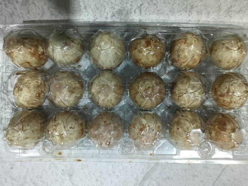 鹌鹑蛋厂家直销量大质优价格优惠以后货源欢迎咨询采购